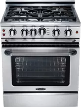 Professional stainless steel cooking range appliance category