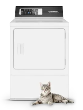 Buy Speed Queen at Brothers Main