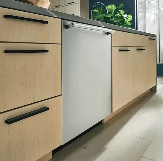 An Electrolux dishwasher