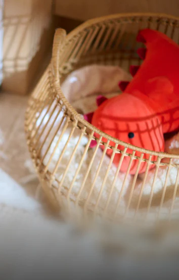 lg laundry lifestyle image