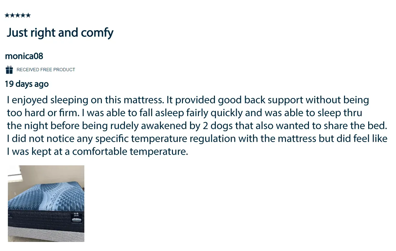 customer review 2