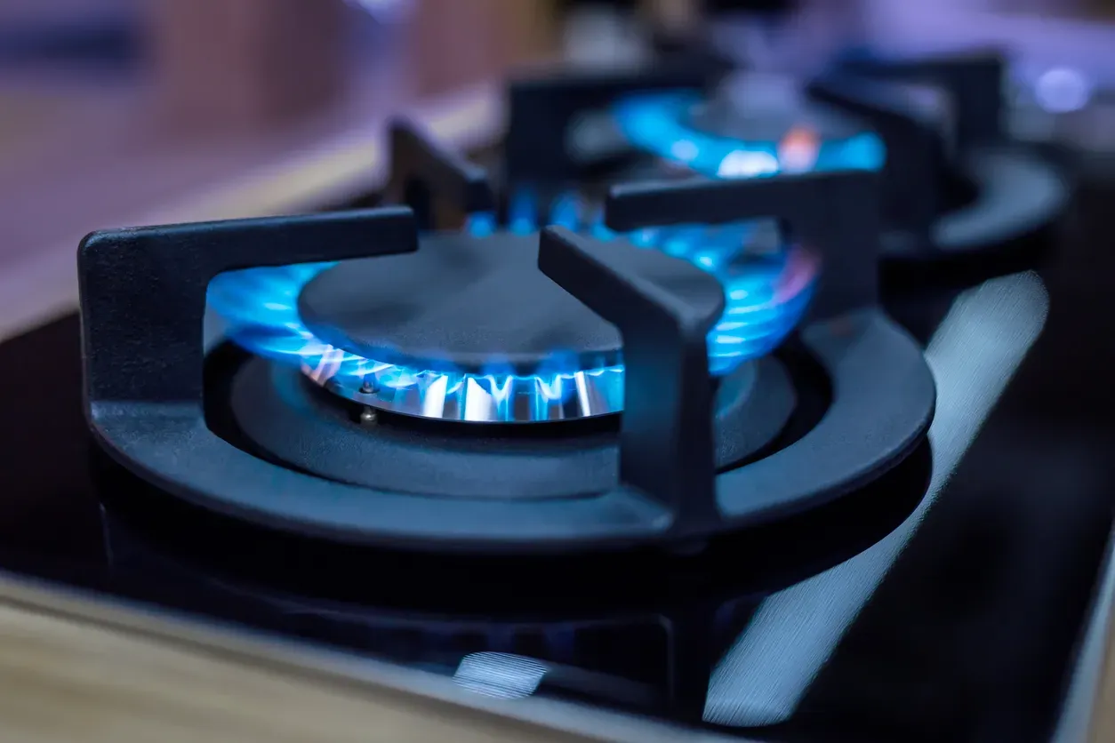 image of a range burner with a blue propane flame
