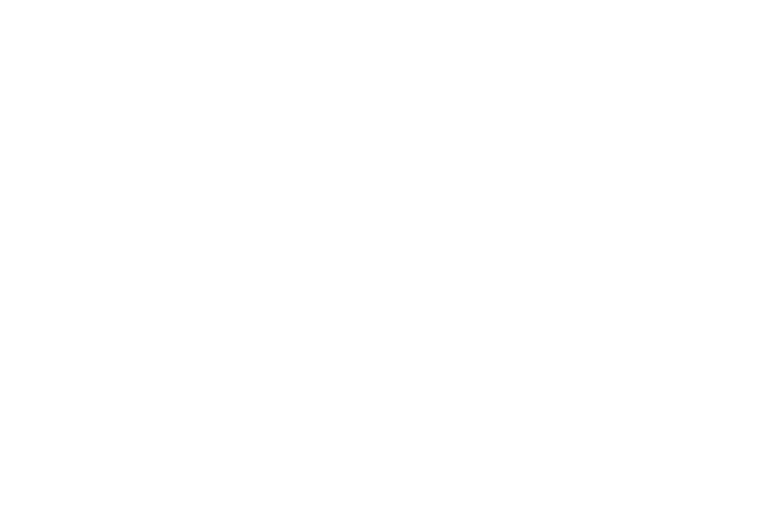 logo-homechoice-w.webp