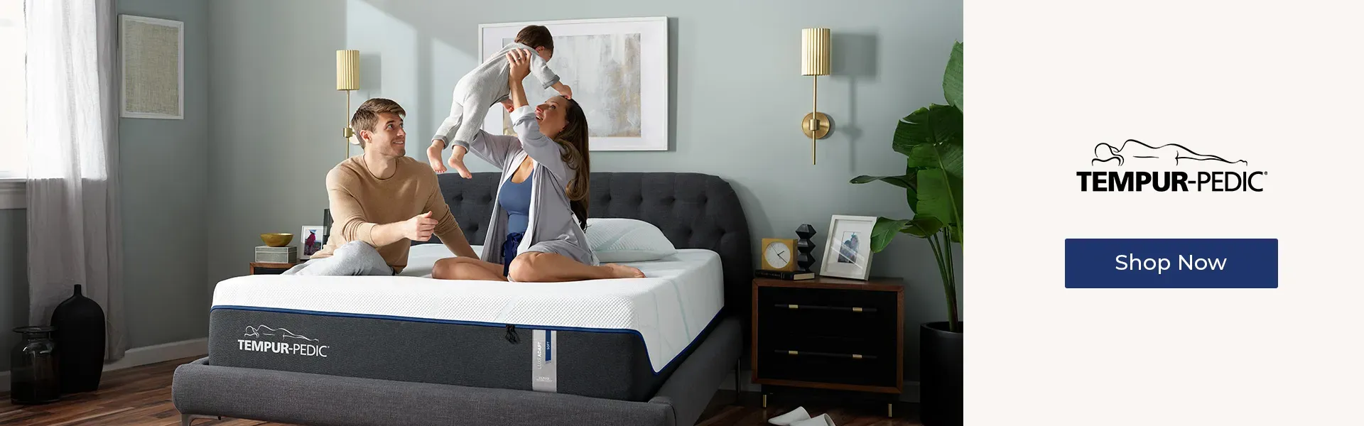 Shop Tempur-Pedic