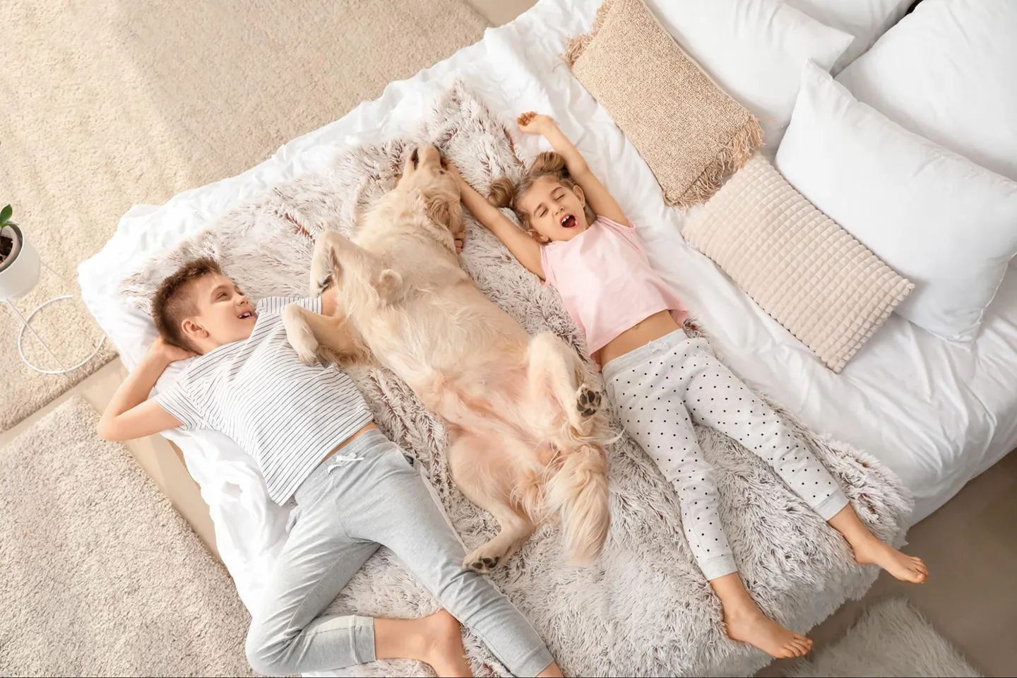 children sleeping on a new mattress in Pennslyvania - Beiters FMA