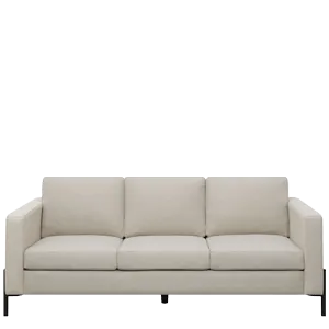 Modern living room sofa