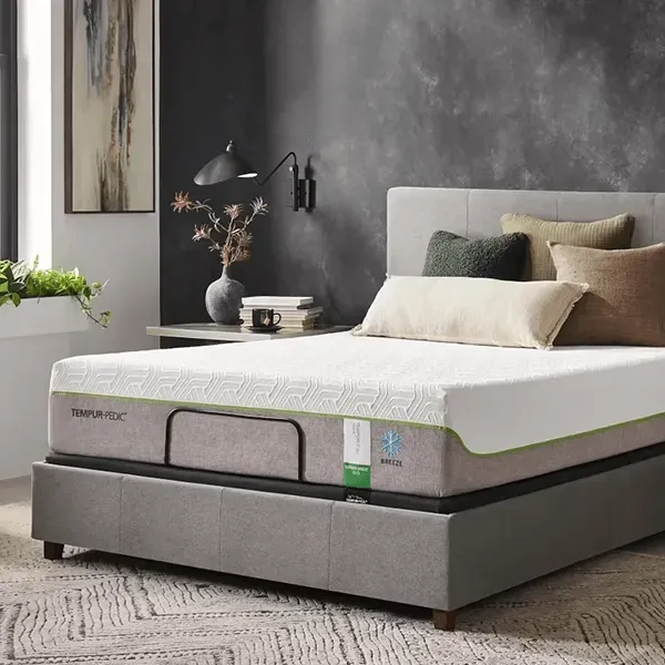 Shop Tempur-Pedic