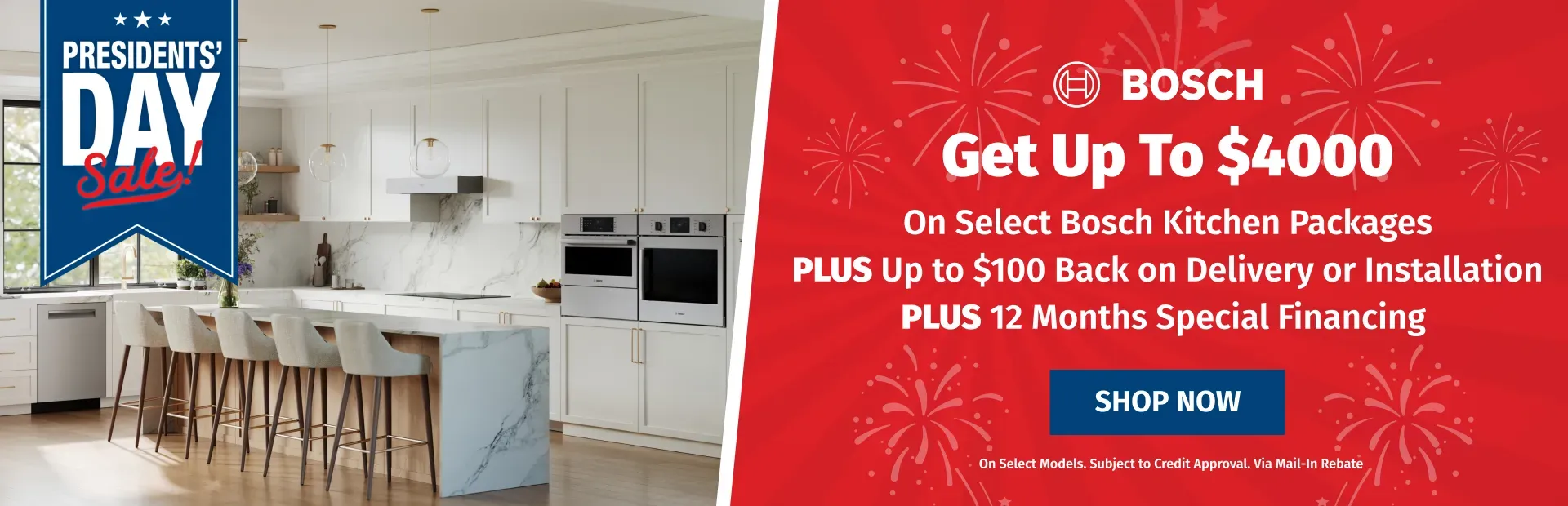 PD Bosch $4000  Back