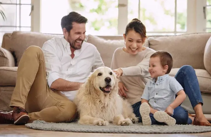 Family relaxing on protected furniture