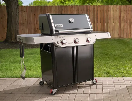 weber genesis grill