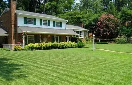 Healthy green lawn