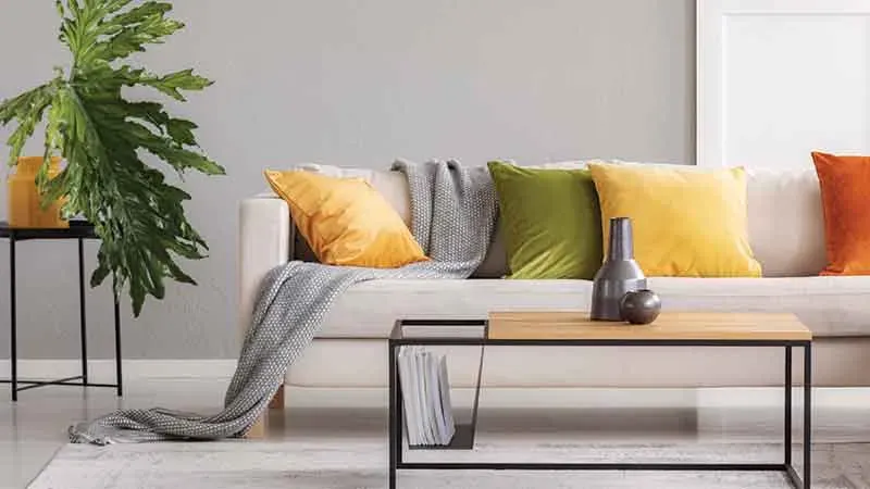 Sofa Picture