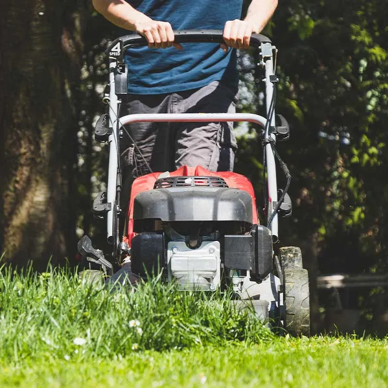 Lawn And Garden