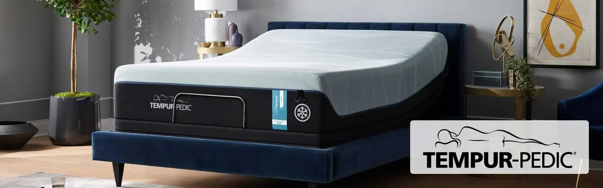 Tempur-Pedic Mattress