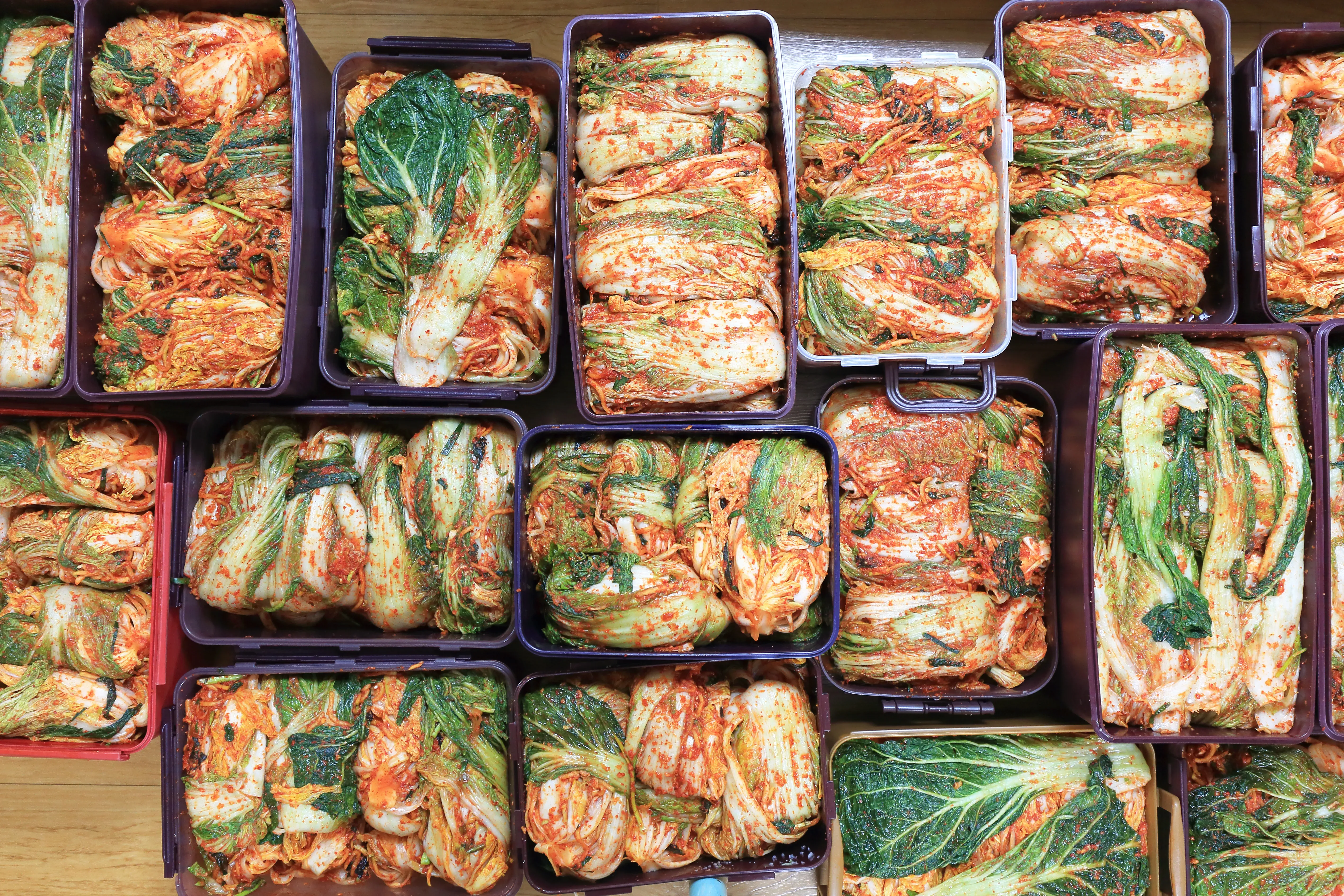 Kimchi Refrigerators