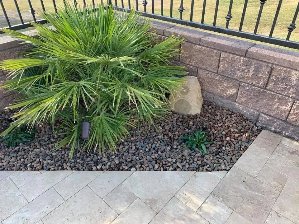Small landscaped corner with a palm plant, decorative rocks, and a stone speaker next to a block wall and metal fence.