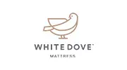 WHITE DOVE