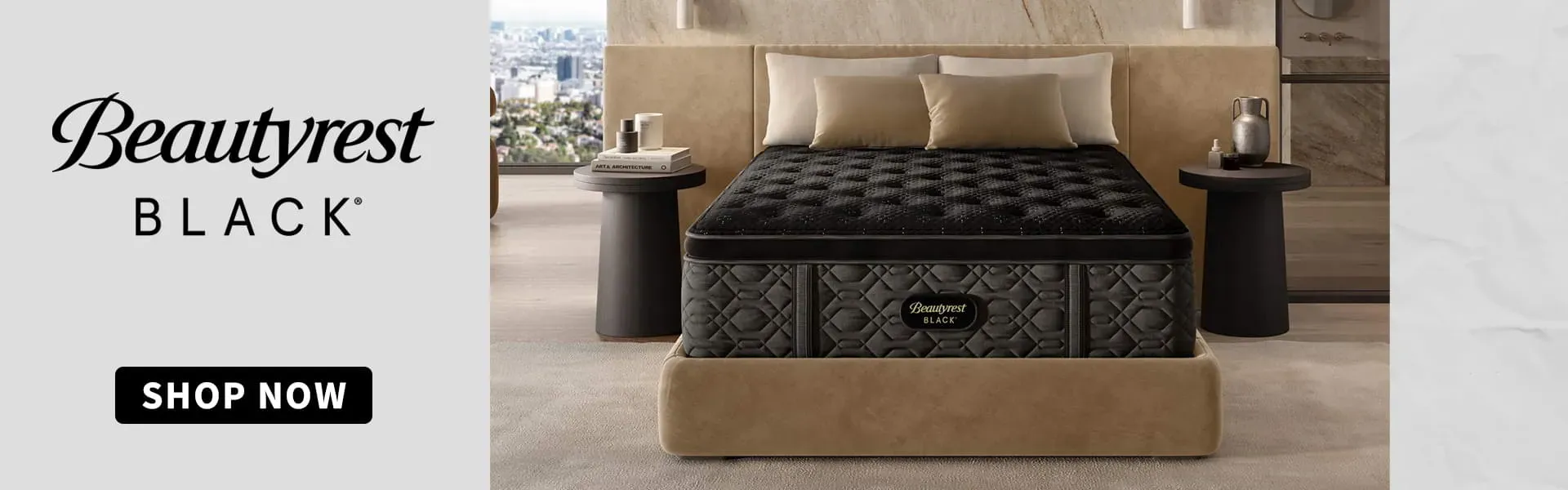 Shop Beautyrest Black