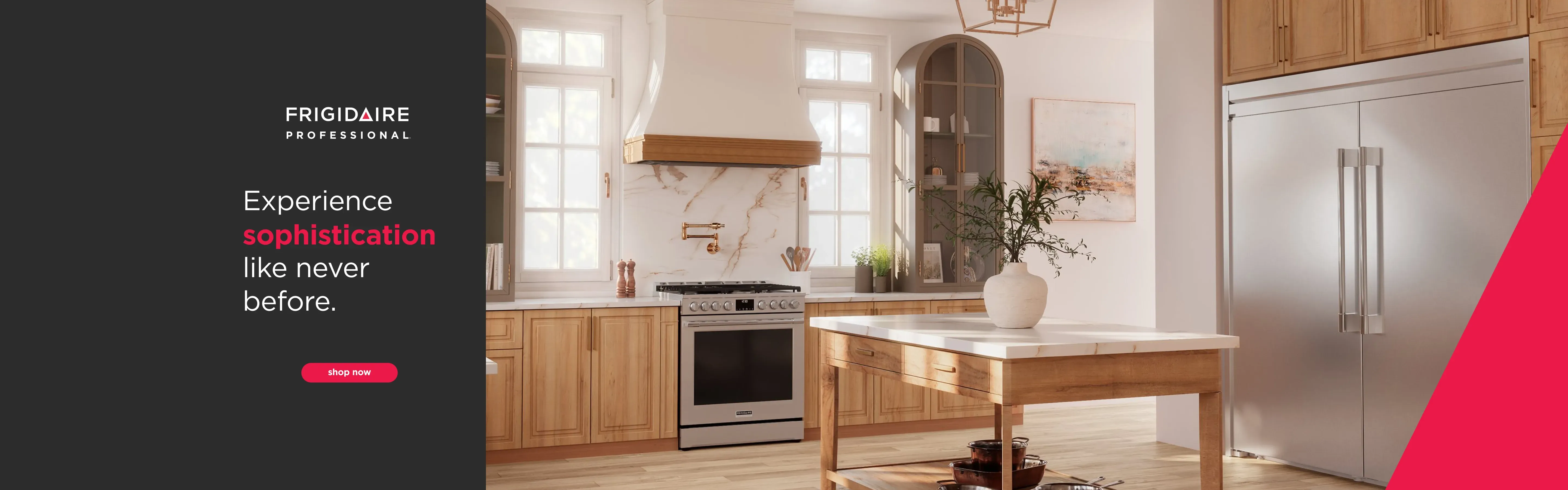 Frigidaire Professional Banner