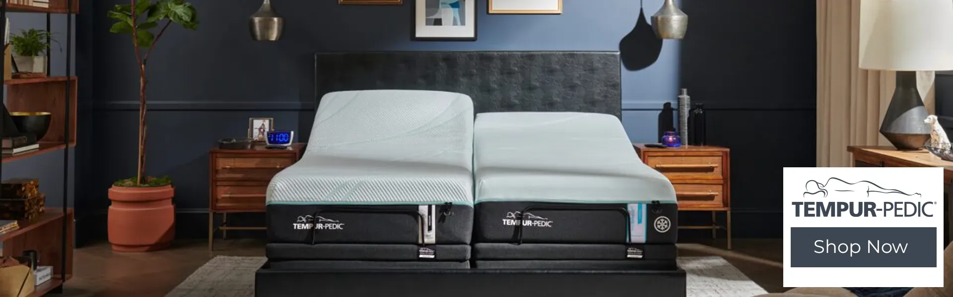 Shop Tempur-Pedic