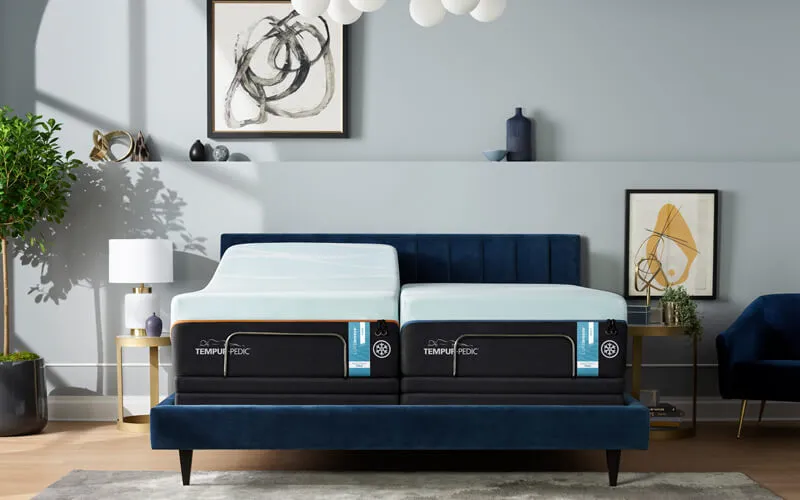 Tempur-Pedic