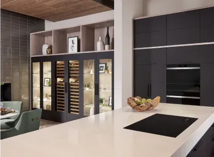 Image of a Luxury Appliances