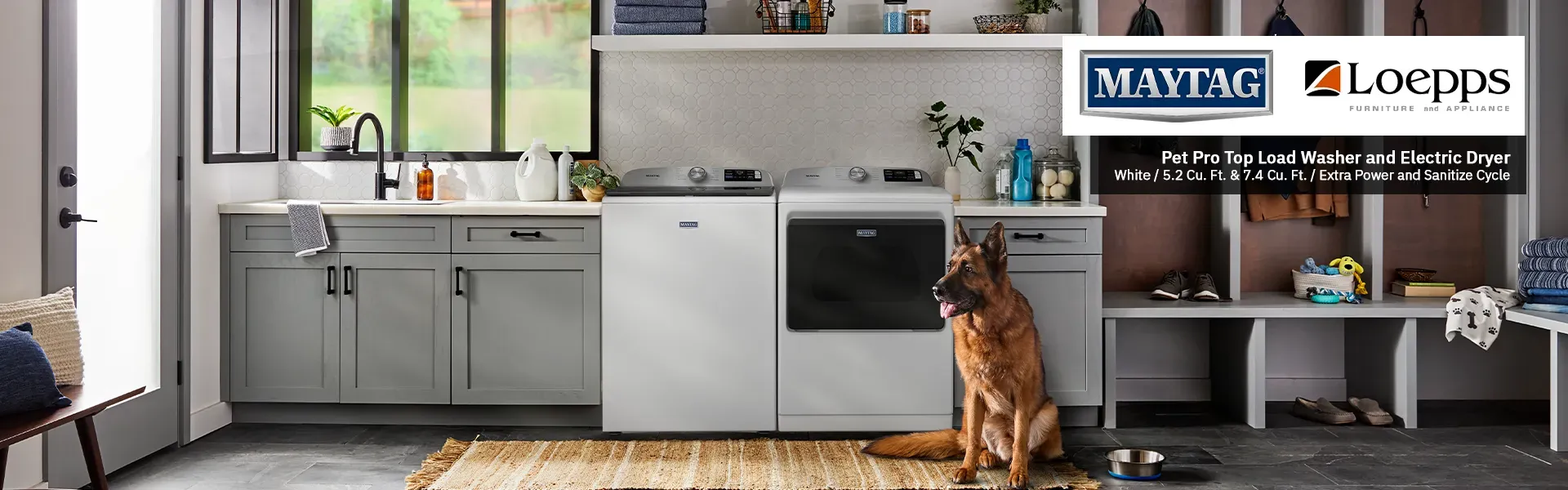Dog Sitting in front of a Washing Machine and Dryer in Laundry Room