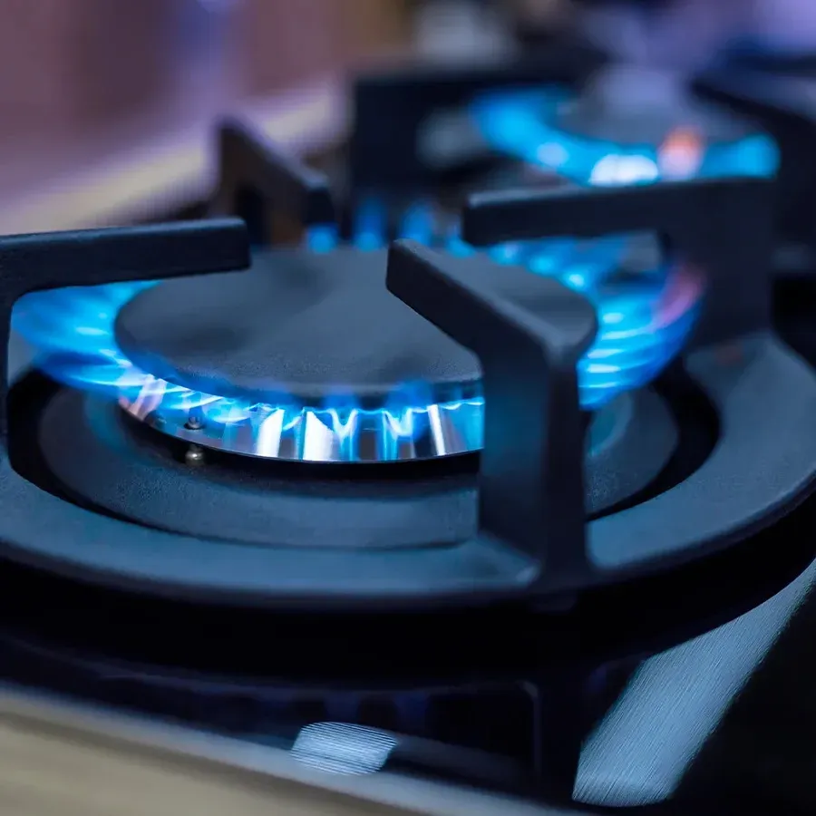 Professional gas range with stainless steel finish