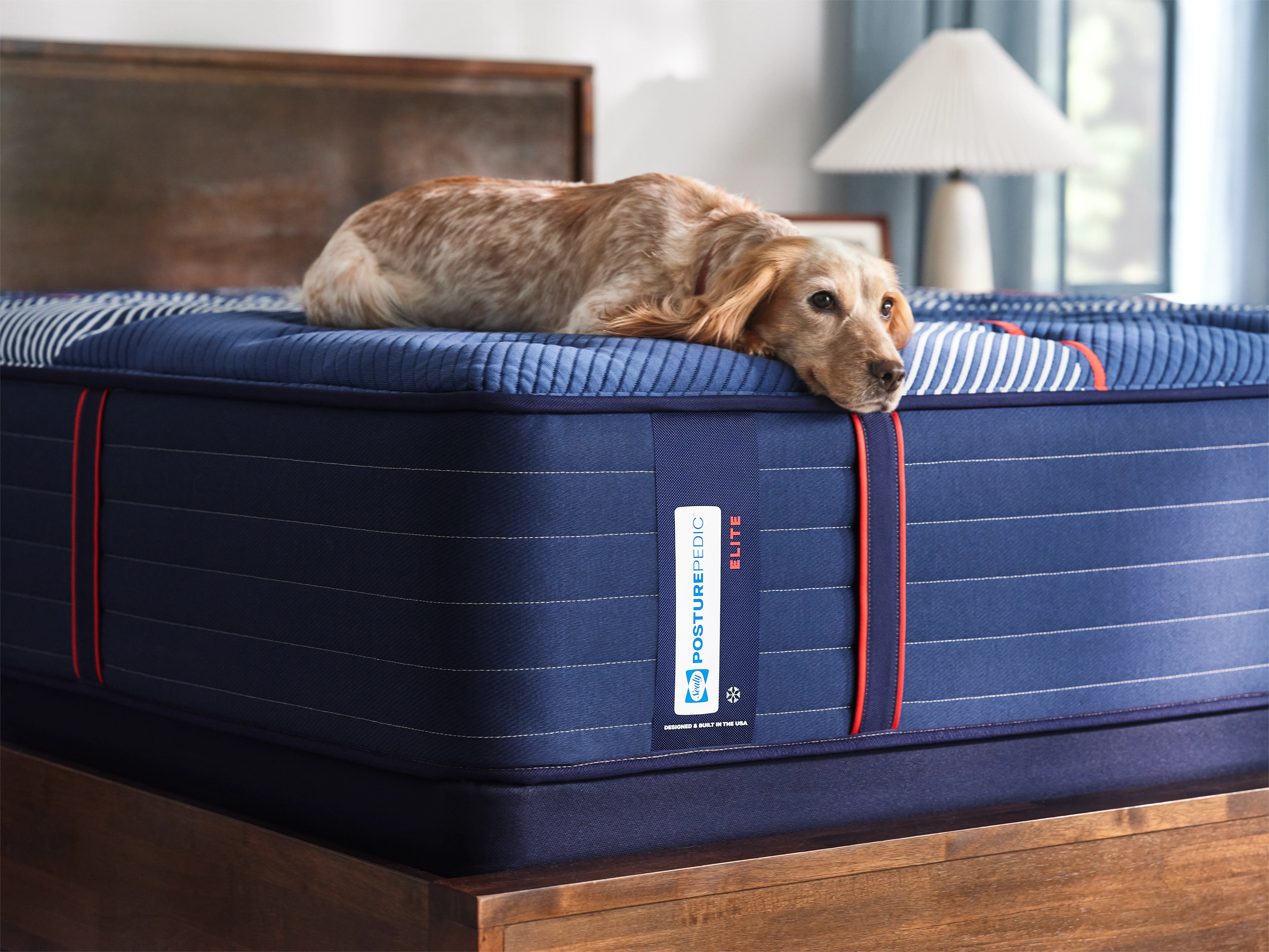 Mattress category placeholder