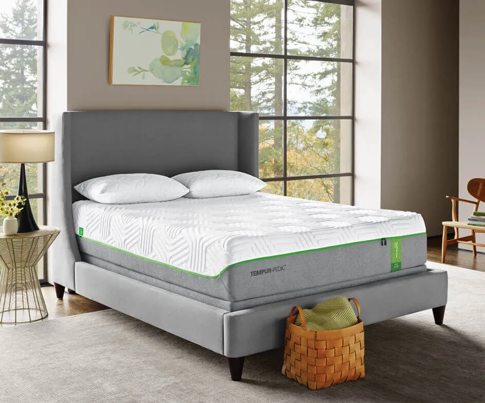 Shop Tempur Pedic