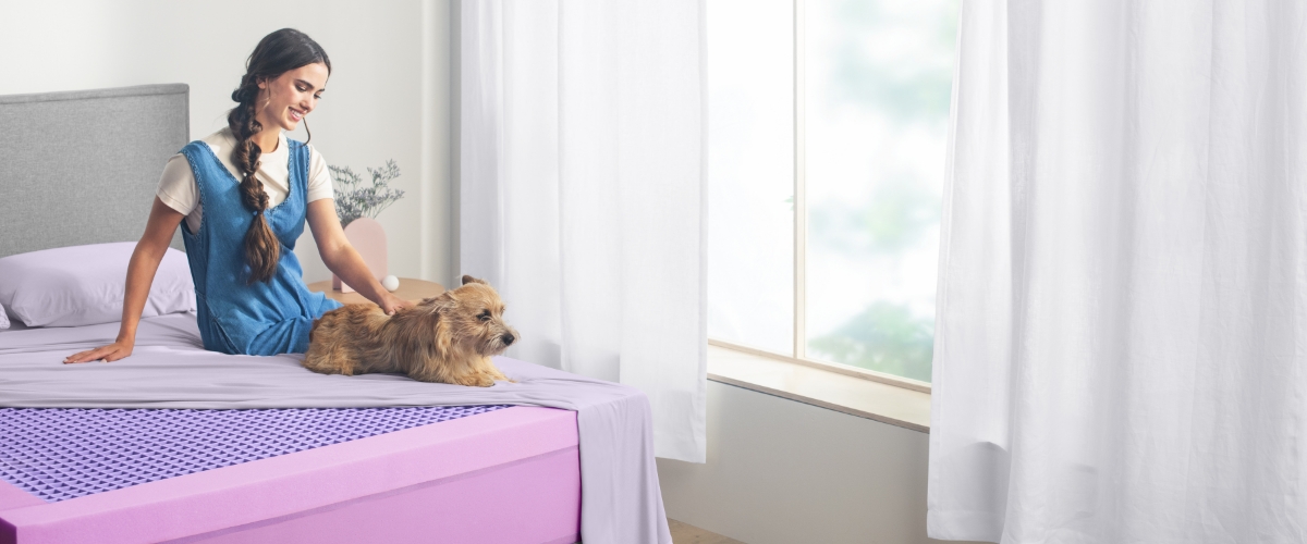 TempurPedic Vs Purple Mattress Land