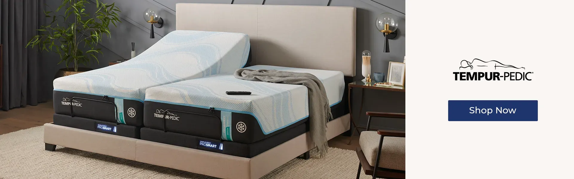 Shop Tempur-Pedic