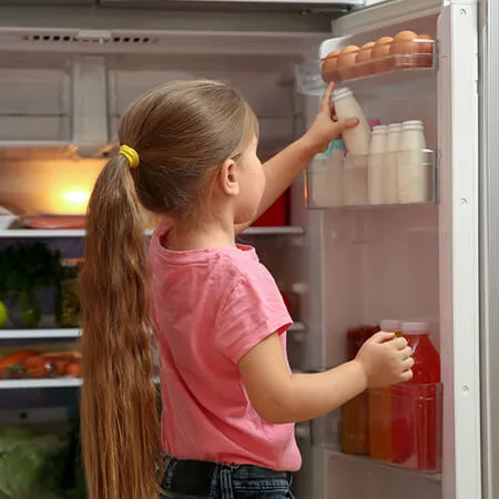 Top Fridge Options for Young Families