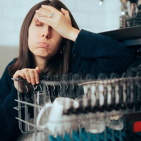 What is Wrong With My Dishwasher?