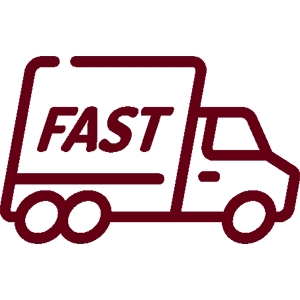 Delivery Icon