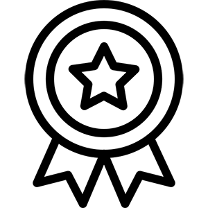 Icon of Quality Award