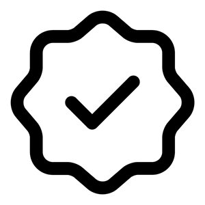 Icon of Value Check