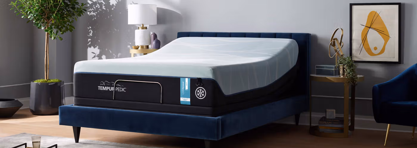Shop Tempur-Pedic