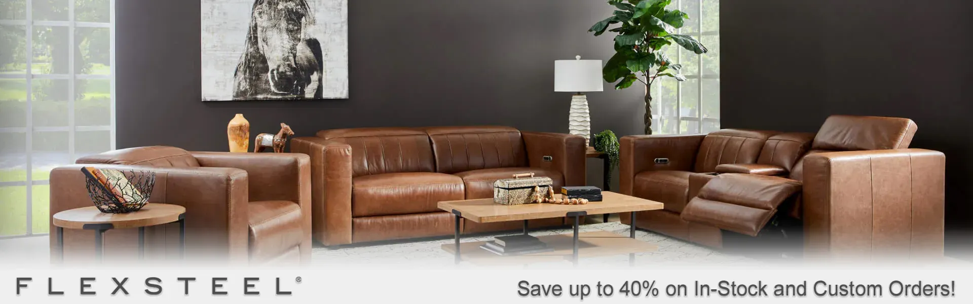 Shop Flexsteel!
