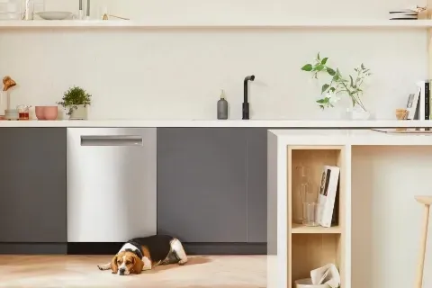 dog and dishwasher image