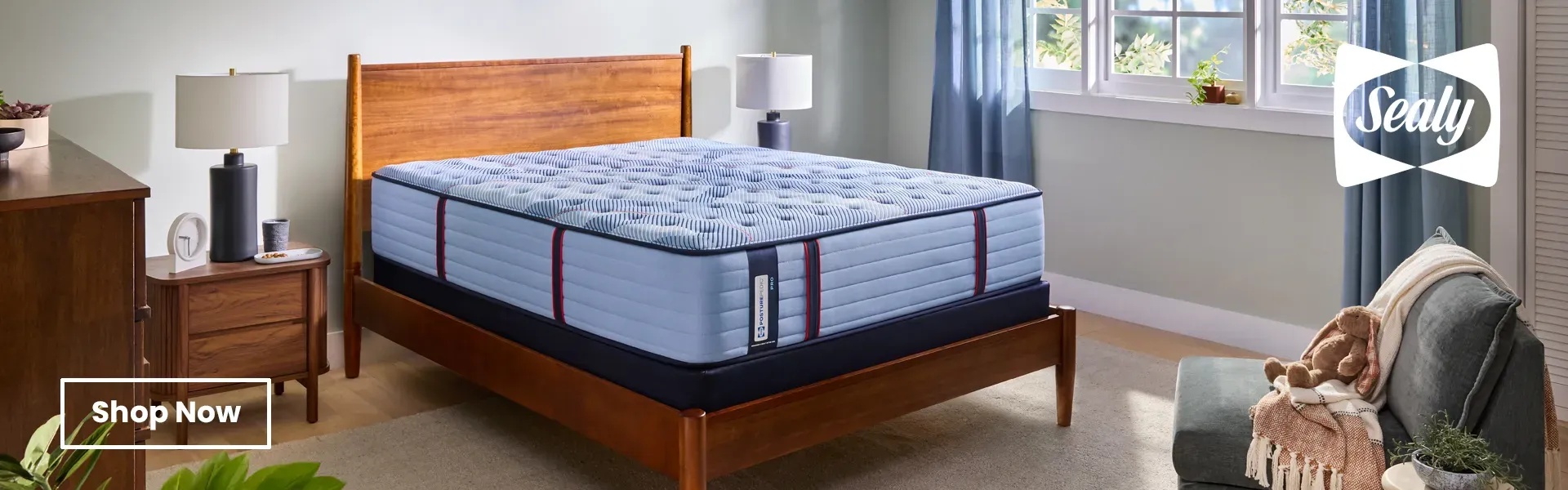 Shop Sealy Now