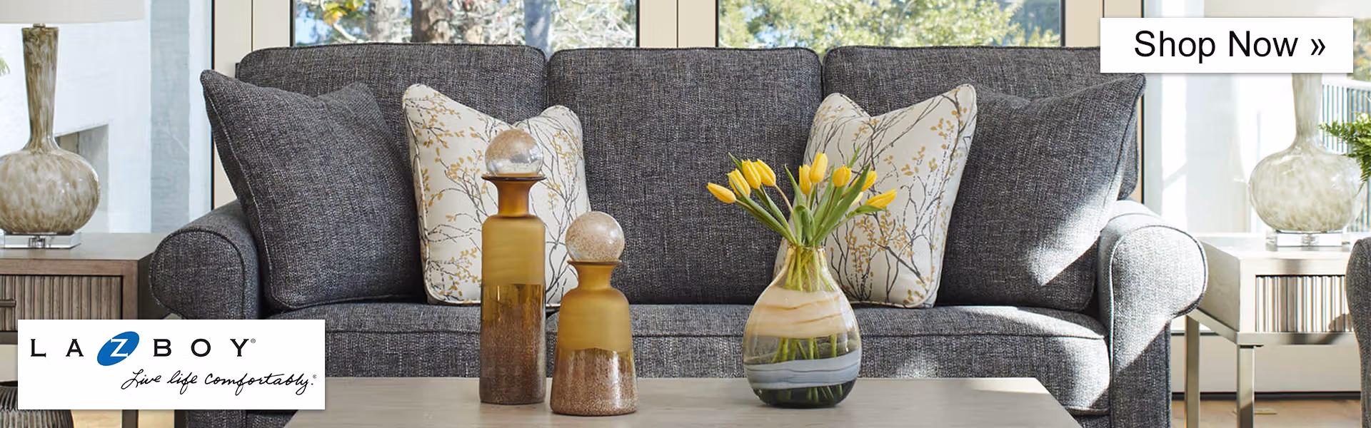 Shop La-Z-Boy Furniture