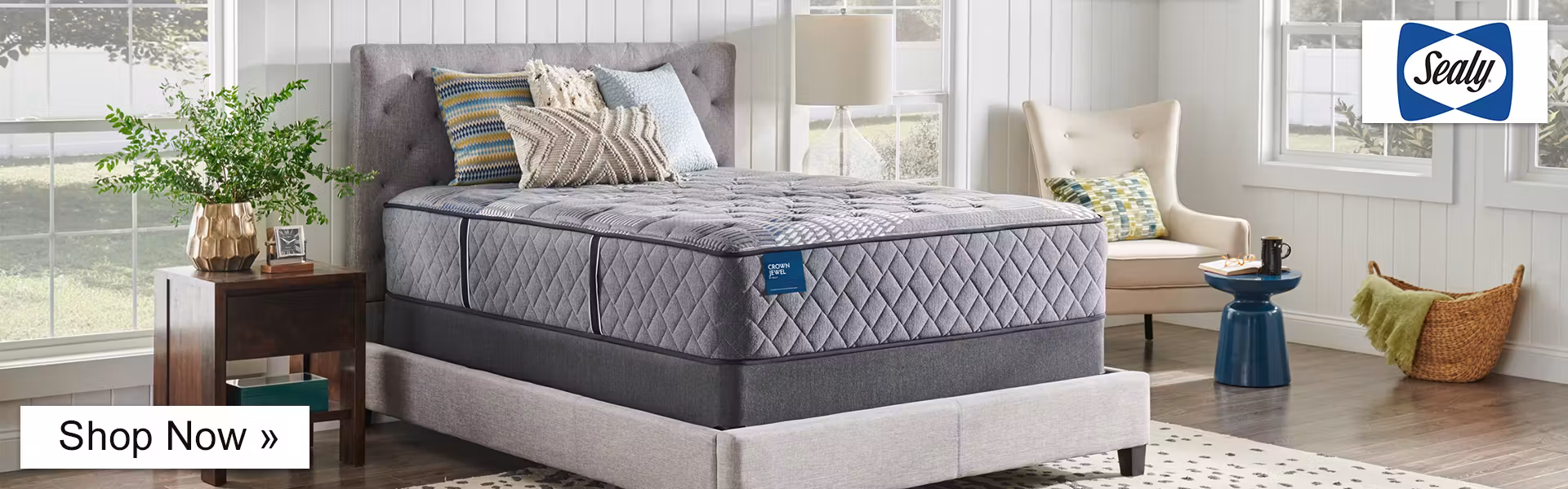 Shop Sealy