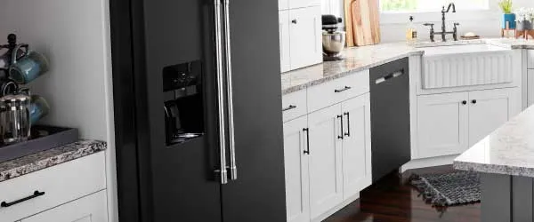 Refrigeration appliances