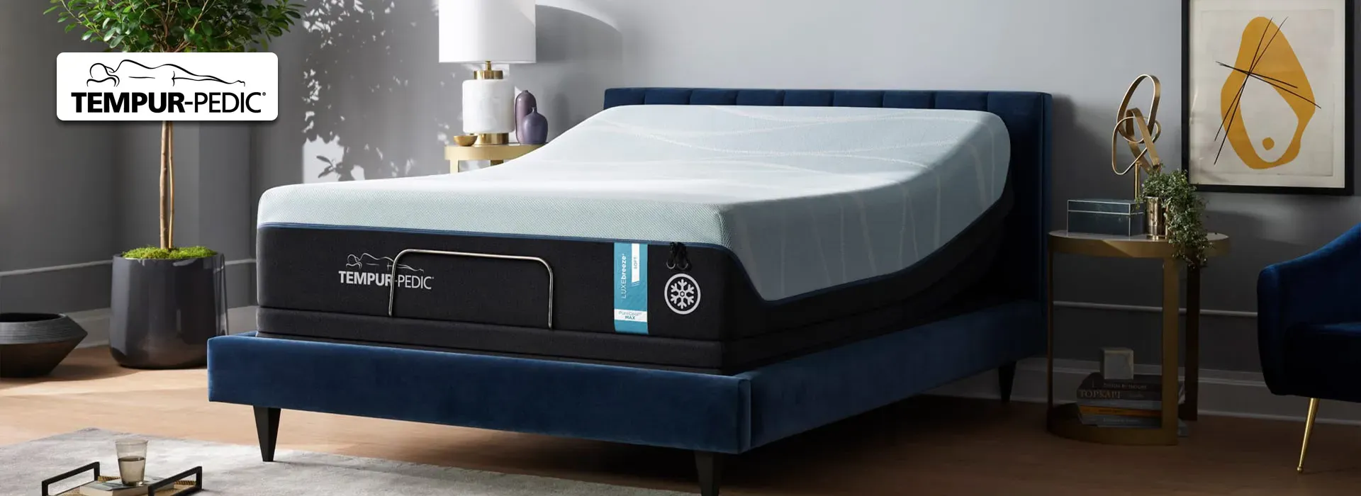 Tempur-Pedic Mattress