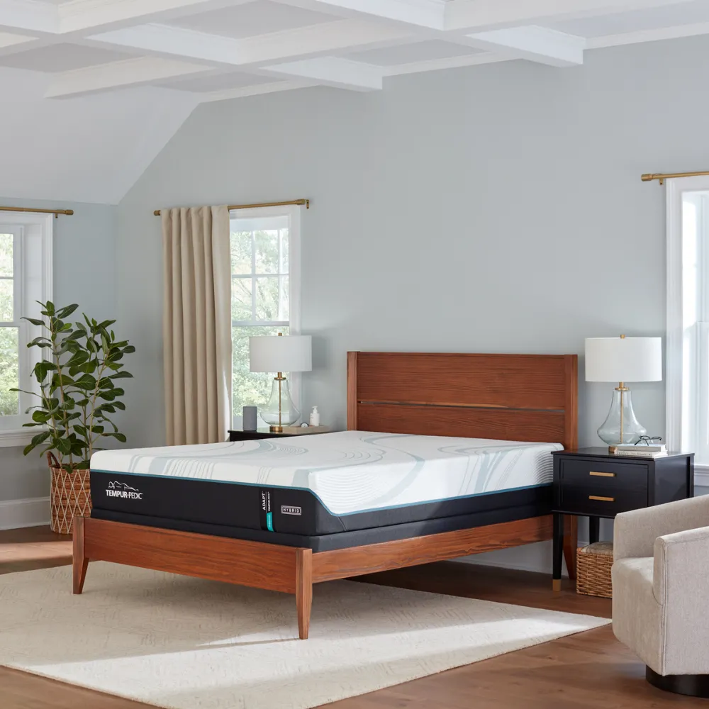 Shop Tempur-Pedic