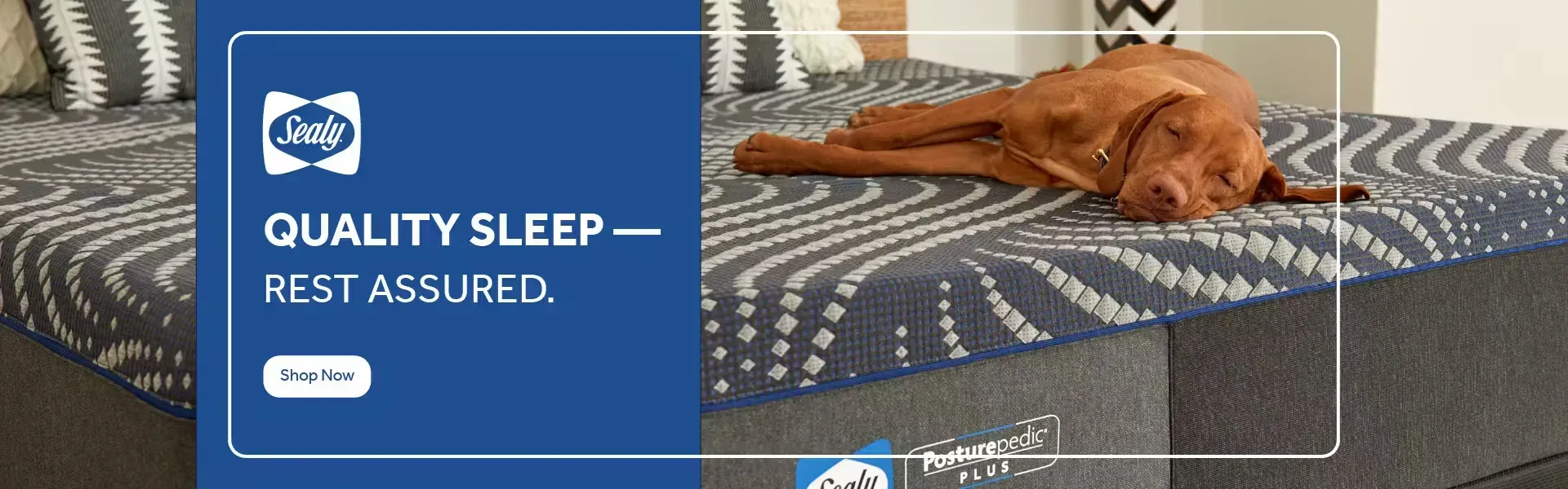 Sealy Mattresses