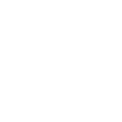 map-pin