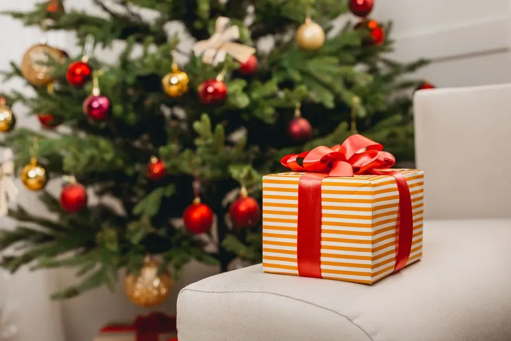 Wrapped-gift-in-front-of-Christmas-tree