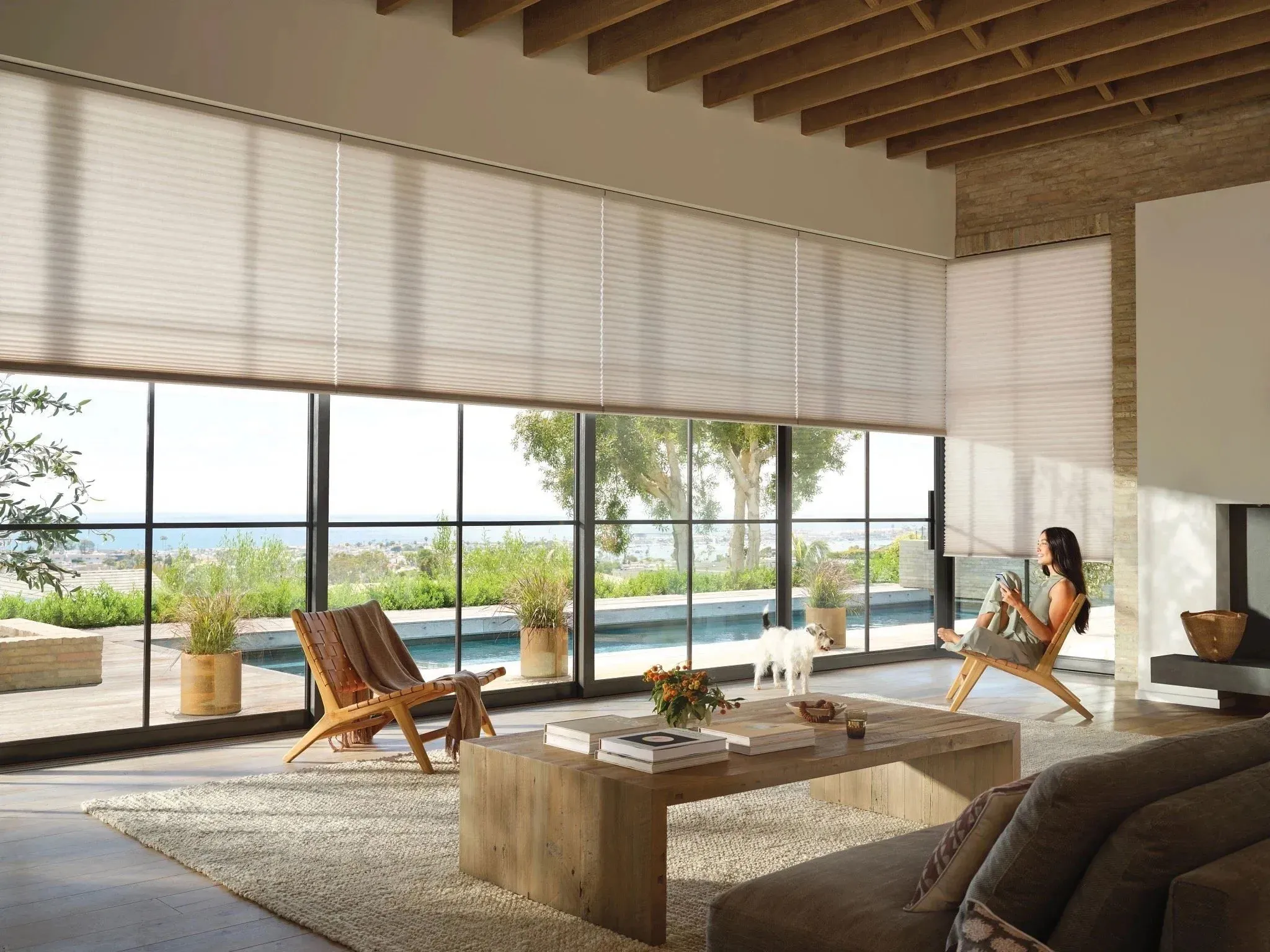 Modern living room with large windows featuring Hunter Douglas window coverings